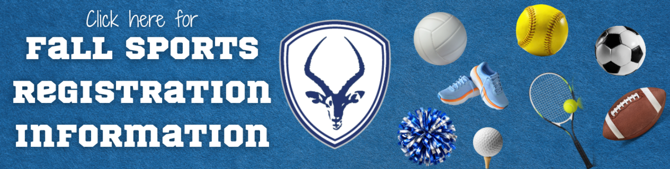 cLICK FOR MORE NFO ON fALL SPORTS
