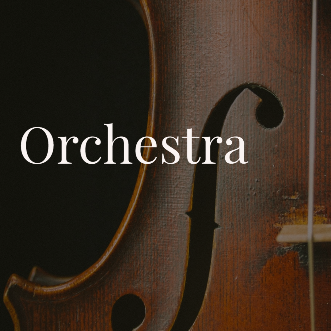 Orchestra