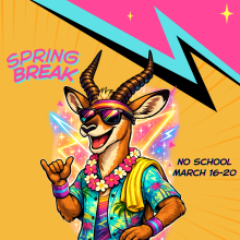 Spring Break Impala