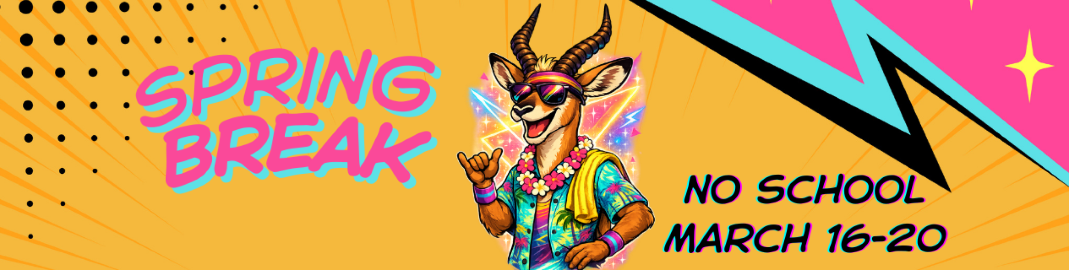 Spring Break - March 16-20 2026