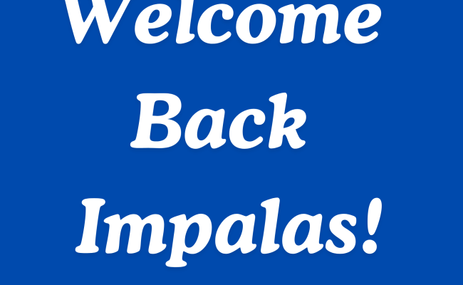 Welcome Back Impalas Square