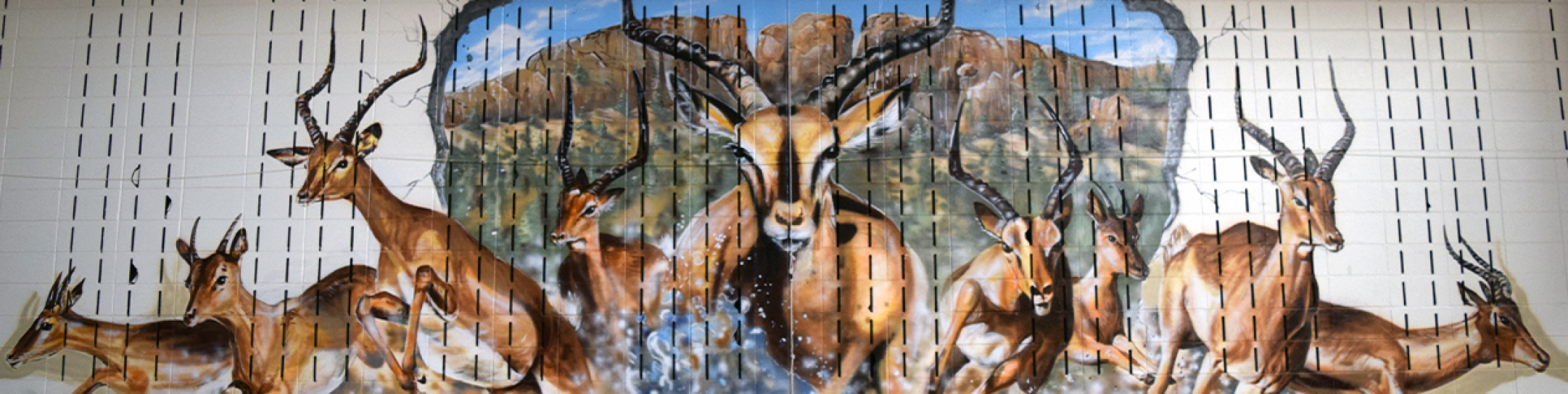 Impala Mural