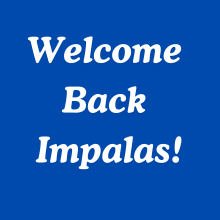 Welcome Back Impalas Square